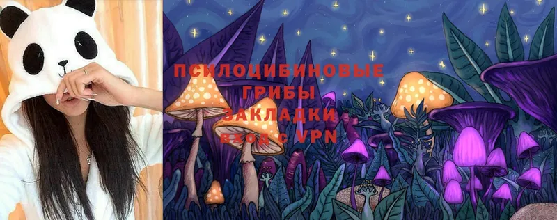 Псилоцибиновые грибы Psilocybe Медынь